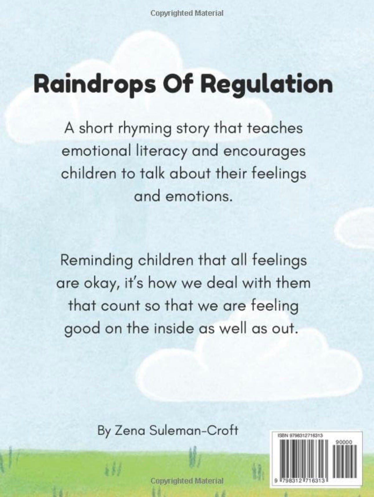 Raindrops Of Regulation- The Story Book