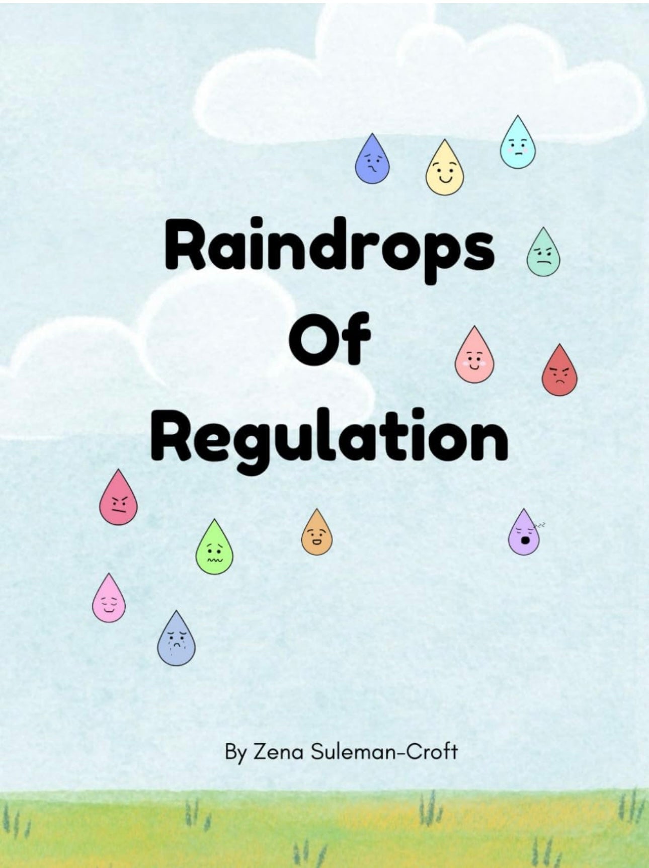 Raindrops Of Regulation- The Story Book