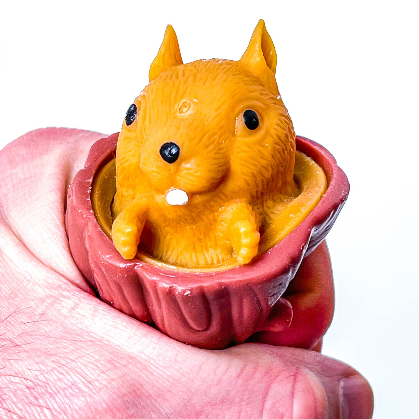 Novelty squirrel squeezer sensory tool
