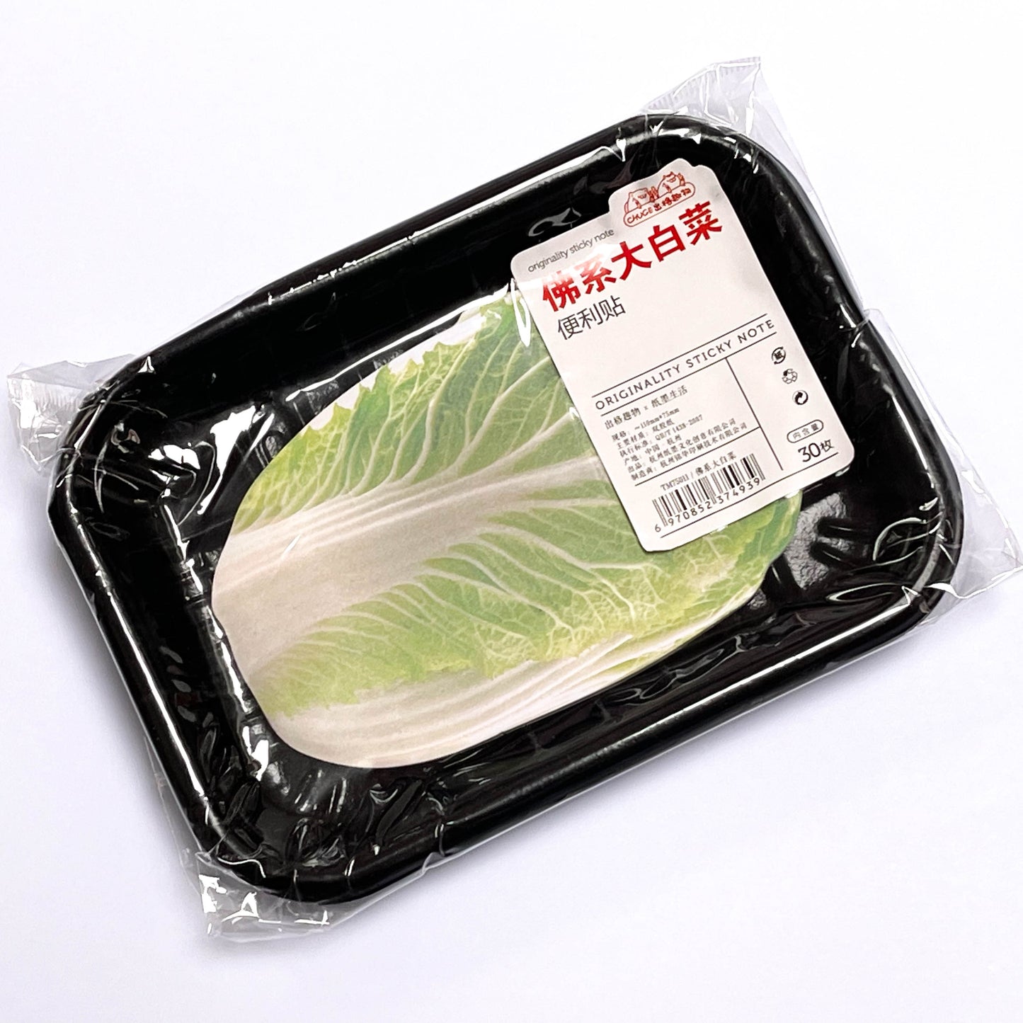 Fruit Vegetable post it notes