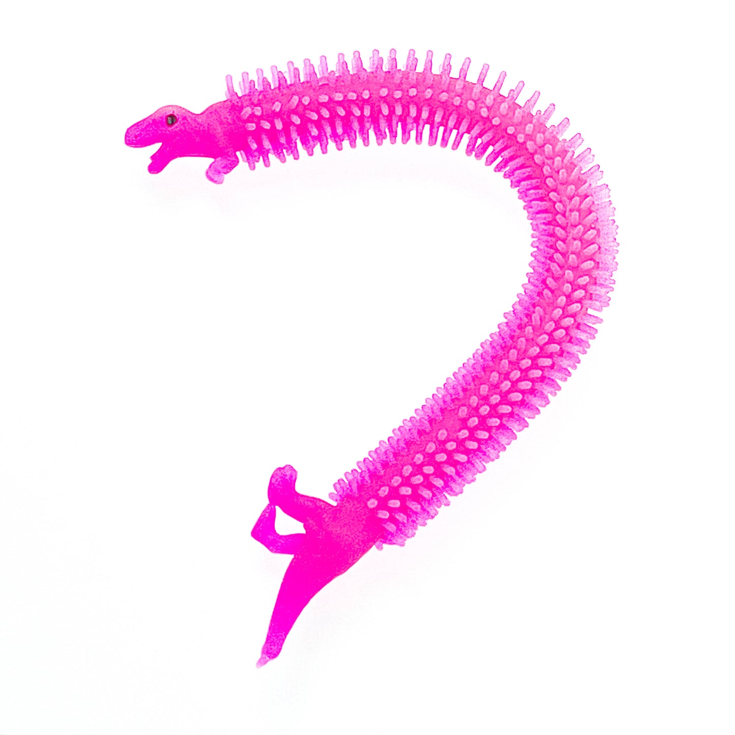 Dinosaur sensory tool
