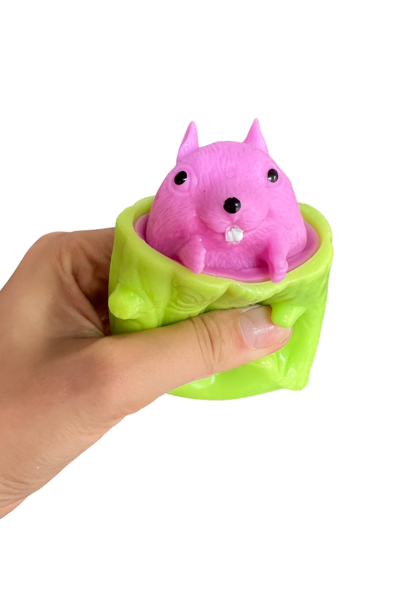 Novelty squirrel squeezer sensory tool